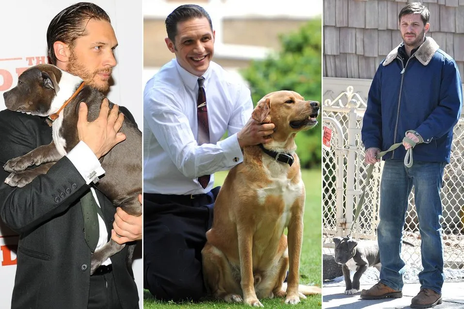 What is Tom Hardy’s Age? The Shocking Truth Revealed!